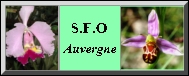 SFO Auvergne