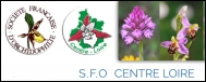 SFO Centre-Loire