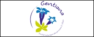 GENTIANA