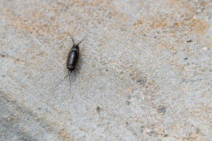 dsc2943 nef dxo deepprime dsc2943 nef dxo deepprime