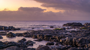 dsc1484 nef dxo deepprime dsc1484 nef dxo deepprime