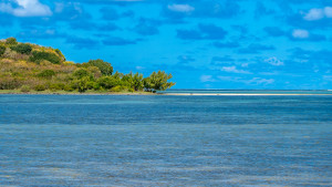 dsc2438 nef dxo deepprime dsc2438 nef dxo deepprime