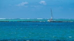 cote est de maurice cote est de maurice