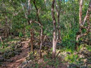 parc national de bras d eau parc national de bras d eau