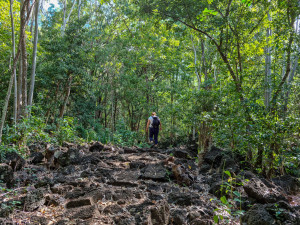 parc national de bras d eau parc national de bras d eau