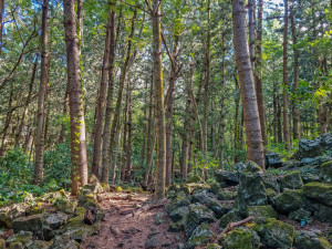 parc national de bras d eau parc national de bras d eau