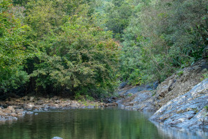 parc national de riviere noire parc national de riviere noire