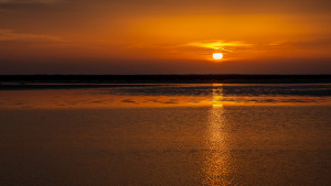 dsc3579 nef dxo dsc3579 nef dxo