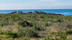 dsc9314 dxo deepprime xd2s dsc9314 dxo deepprime xd2s